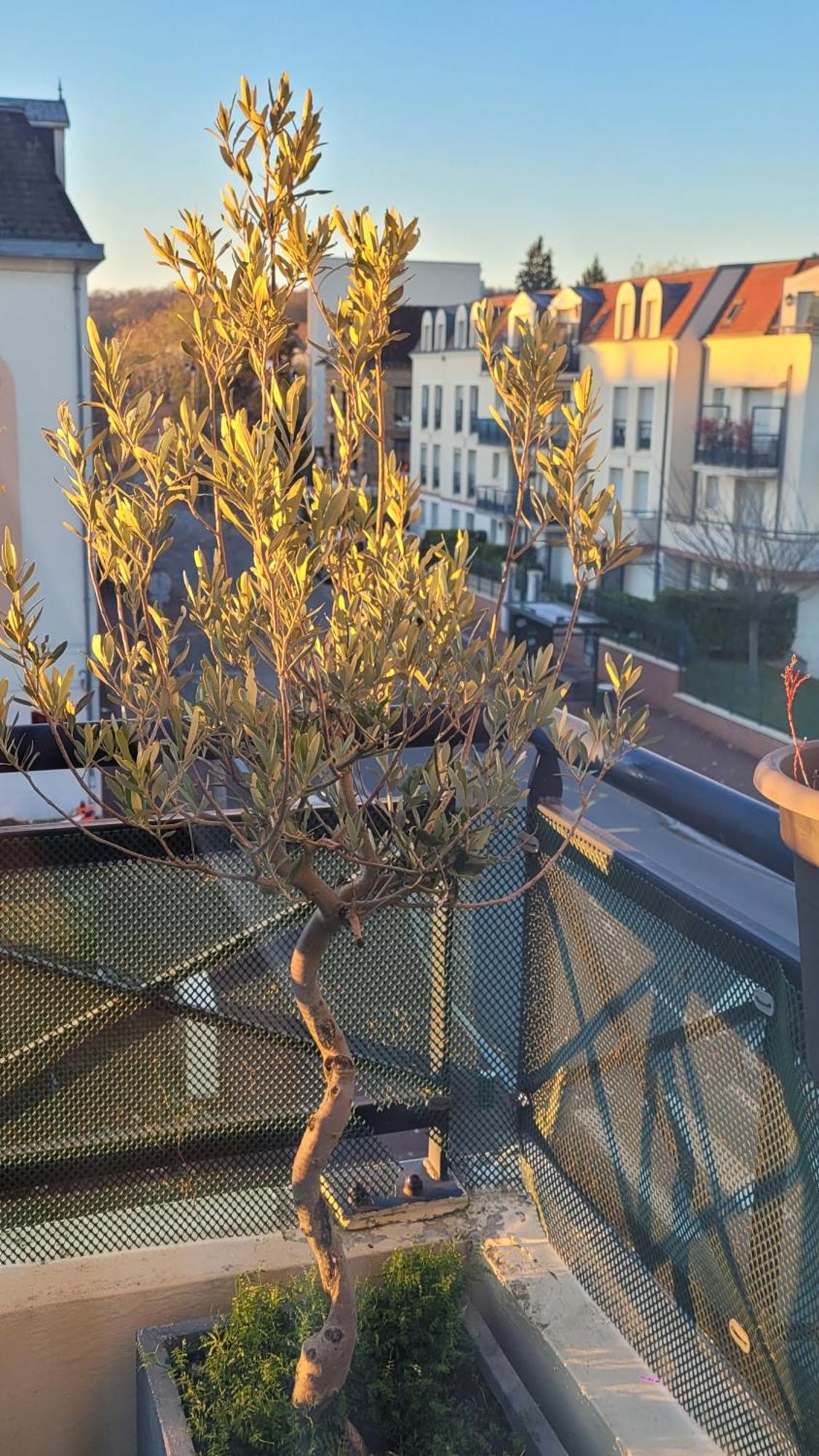 Duplex Art Place, Olympics 2024 Les Clayes-Sous-Bois Εξωτερικό φωτογραφία